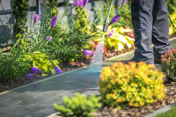 Best Fence Cleaning  in Oak Park Heights, MN