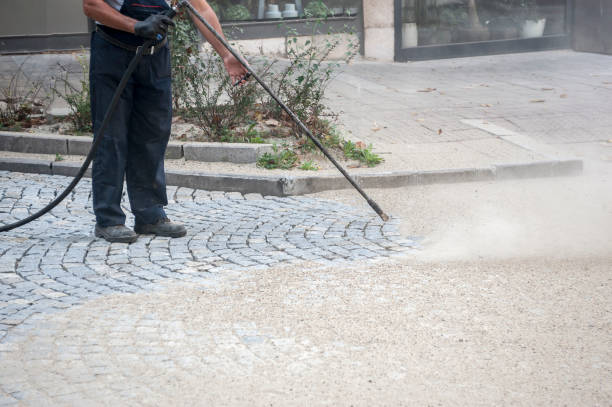 Best Roof Washing  in Oak Park Heights, MN